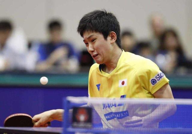 着做这一步 着做这一步