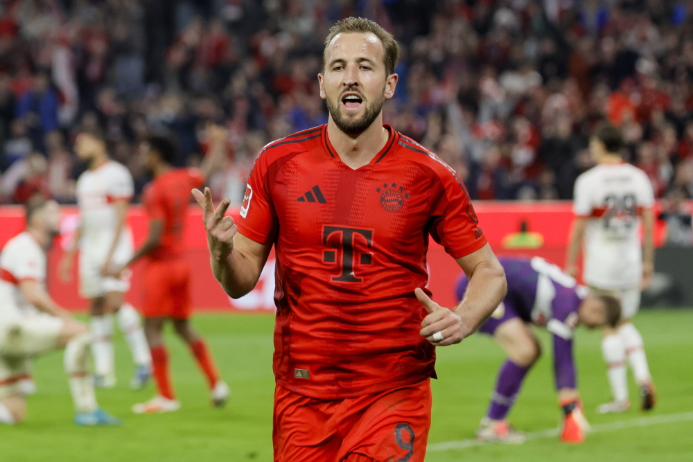 无疑高涨 无疑高涨