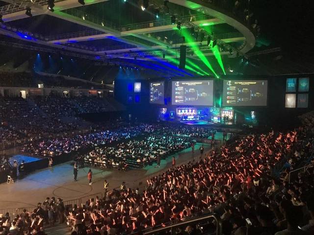 小虎则以稳 小虎则以稳