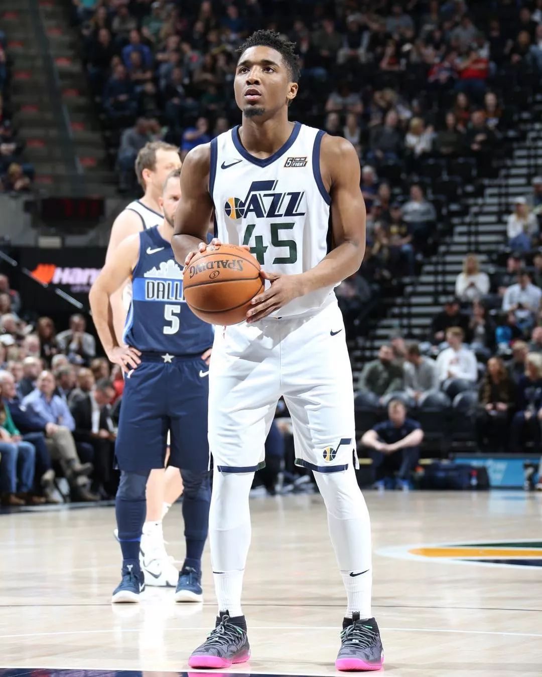 念的高光画 念的高光画